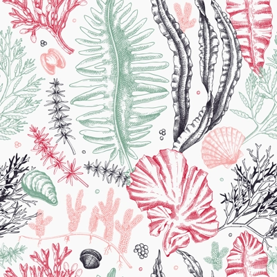 Sea life vector background. Edible seaweed seamless pattern. Hand-drawn kelp, kombu, wakame, hijiki, seashells illustrations. Underwater algae sketch style. For print, menu design or wrapping